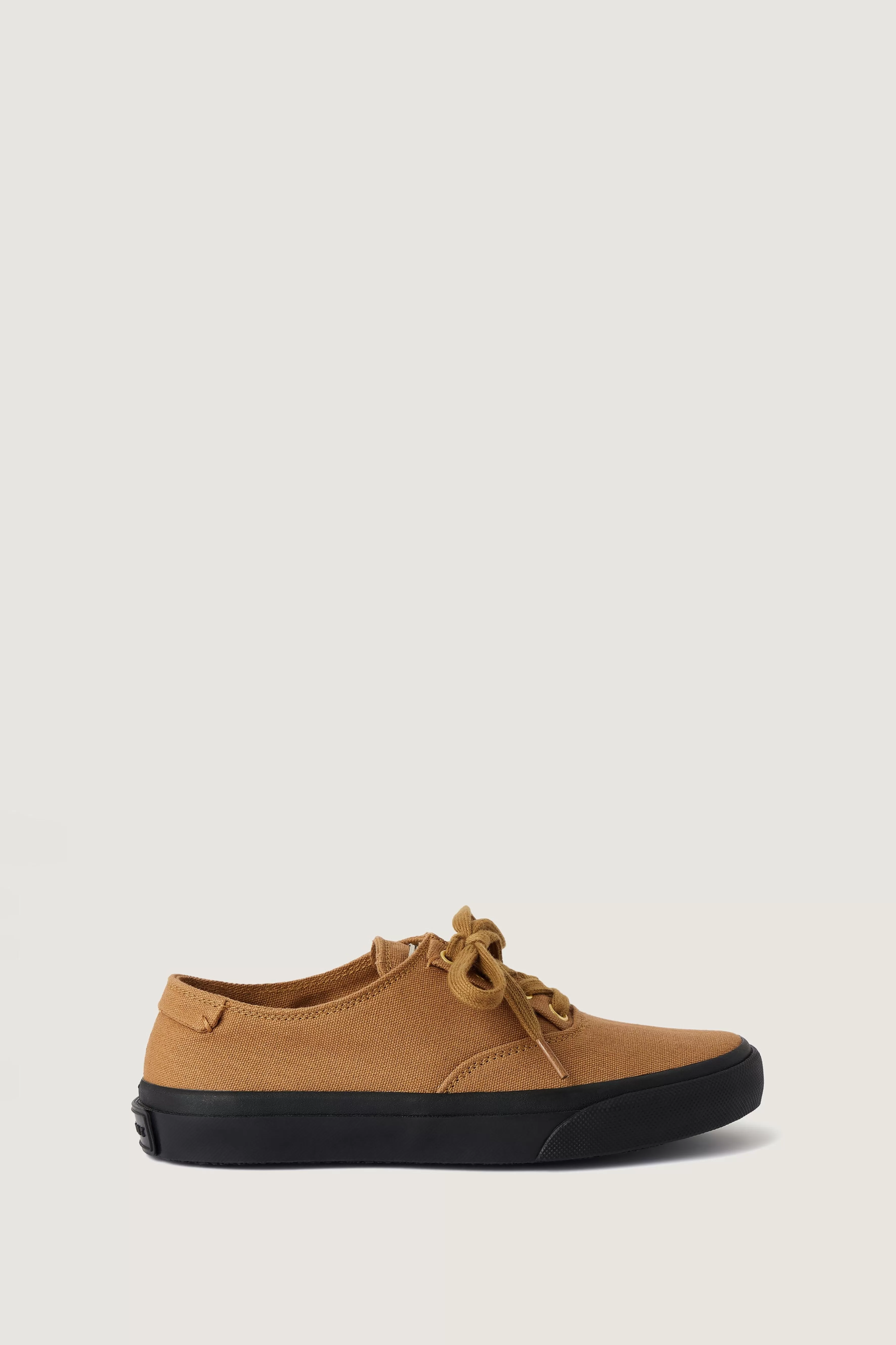 Hot Soeur BASKETS ALEX camel