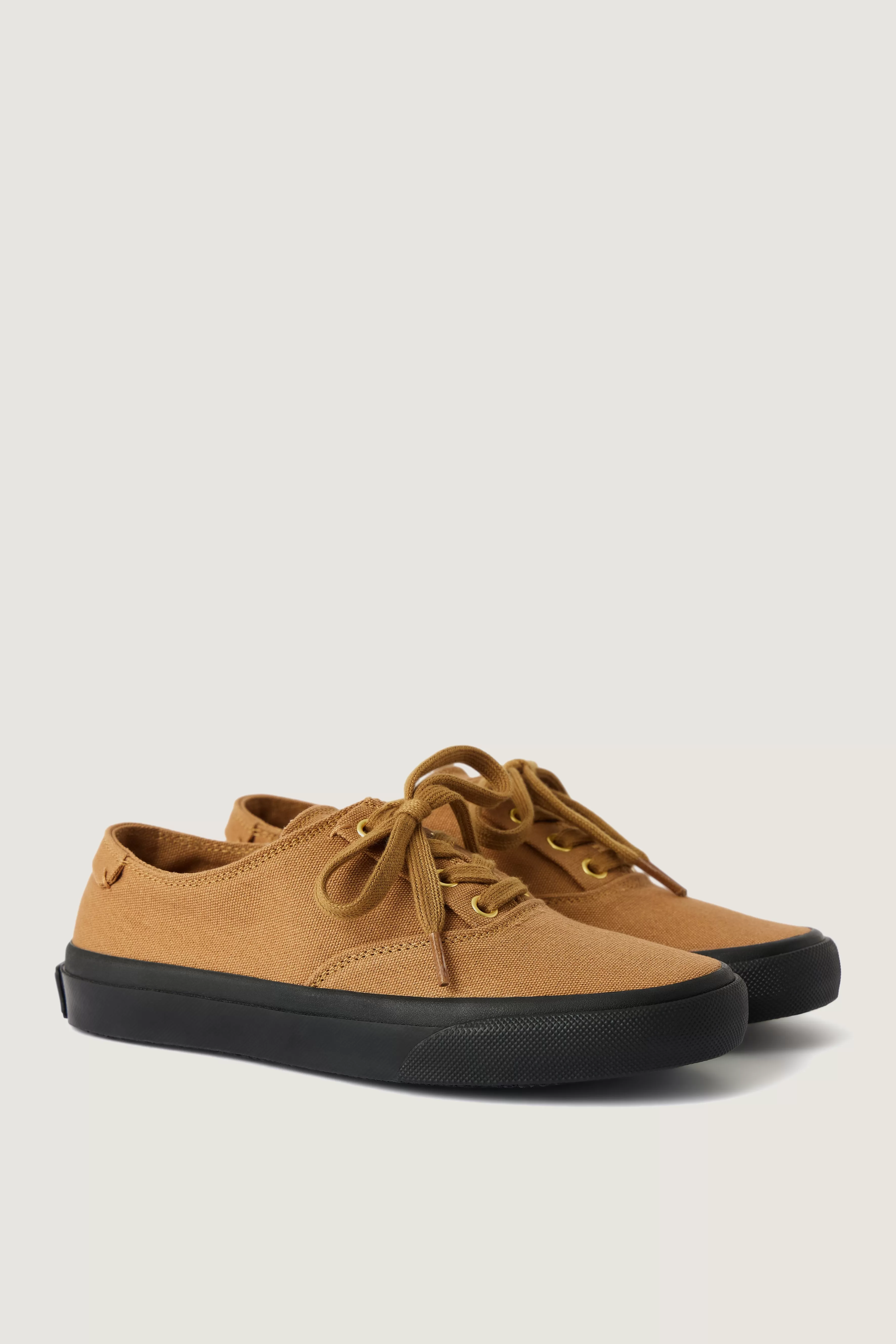 Hot Soeur BASKETS ALEX camel